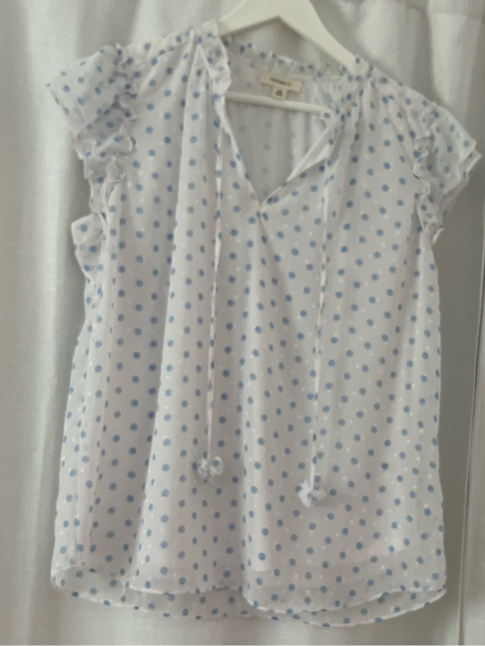 Polka Dot Ruffle Sleeve Tie-Neck Blouse - White with Light Blue Dots